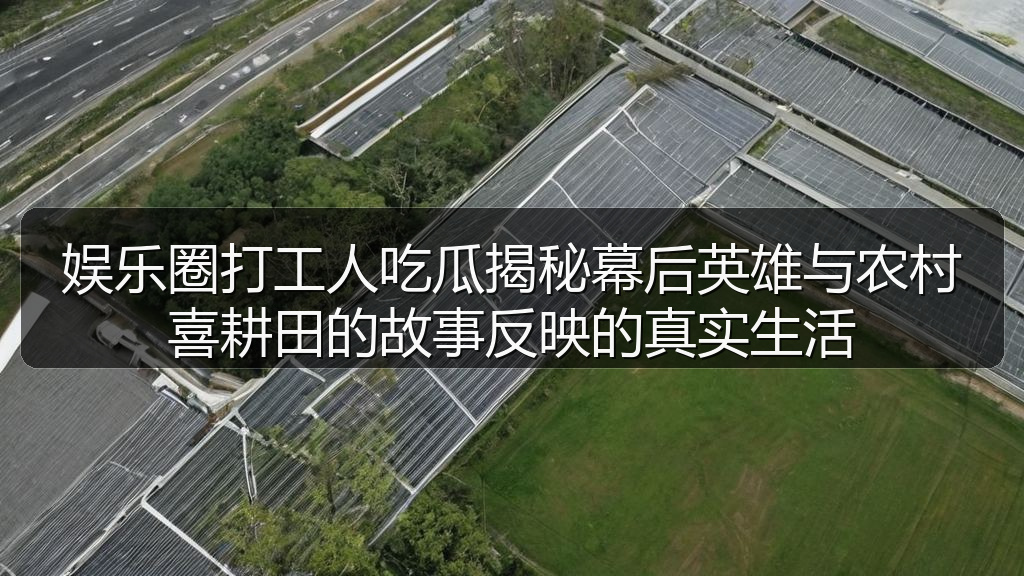 娱乐圈打工人吃瓜揭秘幕后英雄与农村喜耕田的故事反映的真实生活