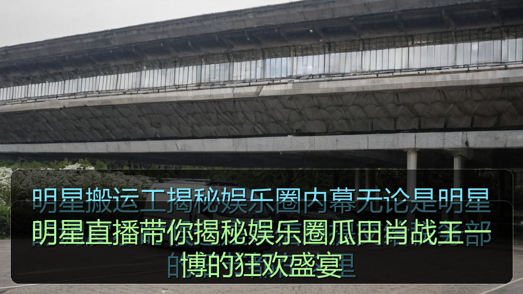 明星直播带你揭秘娱乐圈瓜田肖战王一博的狂欢盛宴