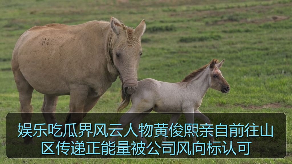 吃瓜群众一号的头像
